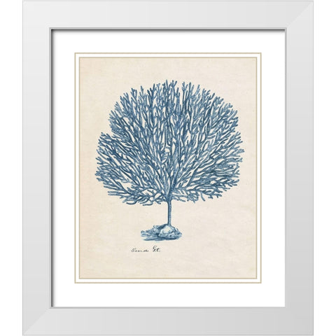 Sea Coral Study III White Modern Wood Framed Art Print with Double Matting by Wang, Melissa