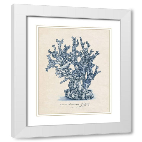 Sea Coral Study IV White Modern Wood Framed Art Print with Double Matting by Wang, Melissa