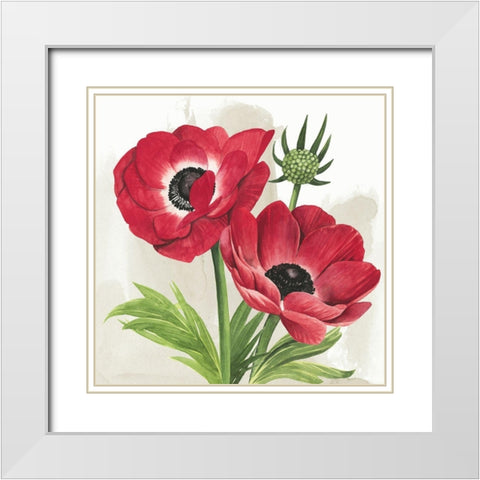 Crimson Anemones I White Modern Wood Framed Art Print with Double Matting by Popp, Grace