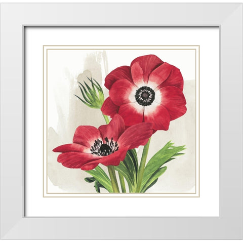 Crimson Anemones II White Modern Wood Framed Art Print with Double Matting by Popp, Grace
