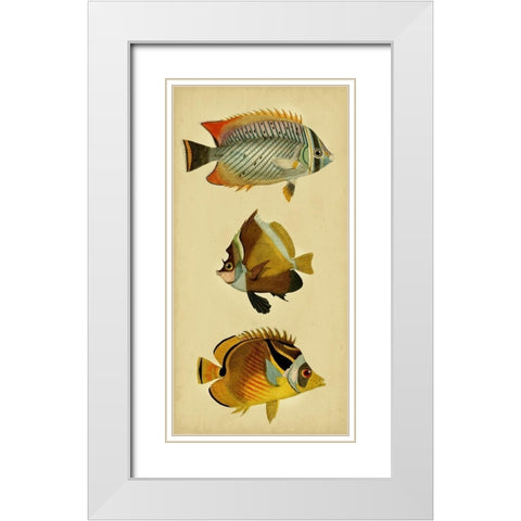 Trio of Tropical Fish II White Modern Wood Framed Art Print with Double Matting by Vision Studio