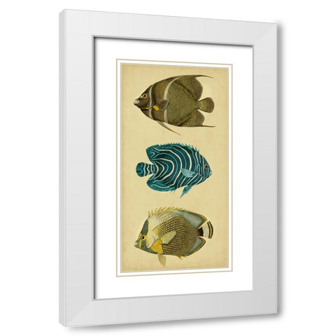 Trio of Tropical Fish III White Modern Wood Framed Art Print with Double Matting by Vision Studio