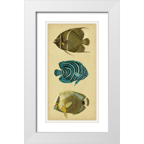 Trio of Tropical Fish III White Modern Wood Framed Art Print with Double Matting by Vision Studio