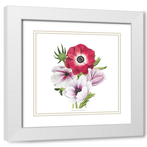 Anemone Blooms I White Modern Wood Framed Art Print with Double Matting by Popp, Grace
