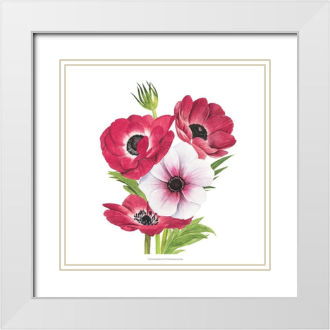 Anemone Blooms II White Modern Wood Framed Art Print with Double Matting by Popp, Grace
