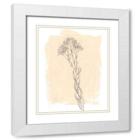 Branch on Blush I White Modern Wood Framed Art Print with Double Matting by Goldberger, Jennifer