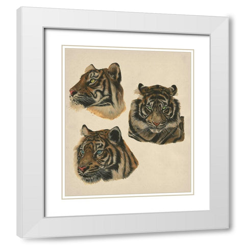 Wild World II White Modern Wood Framed Art Print with Double Matting by Wang, Melissa