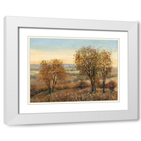 Overlook II White Modern Wood Framed Art Print with Double Matting by OToole, Tim