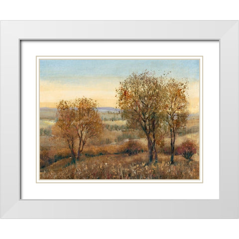 Overlook II White Modern Wood Framed Art Print with Double Matting by OToole, Tim