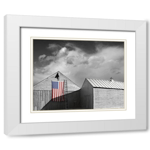 Flags of Our Farmers V White Modern Wood Framed Art Print with Double Matting by McLoughlin, James