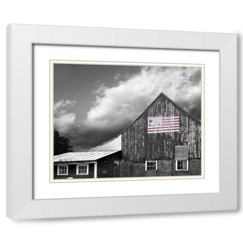 Flags of Our Farmers VII White Modern Wood Framed Art Print with Double Matting by McLoughlin, James