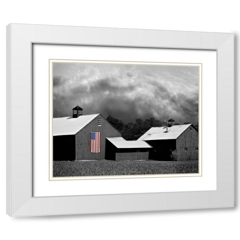 Flags of Our Farmers XV White Modern Wood Framed Art Print with Double Matting by McLoughlin, James