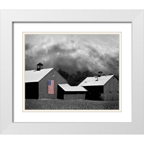 Flags of Our Farmers XV White Modern Wood Framed Art Print with Double Matting by McLoughlin, James