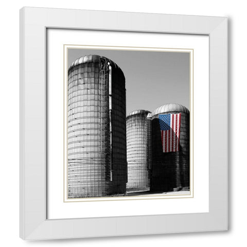 Flags of Our Farmers XX White Modern Wood Framed Art Print with Double Matting by McLoughlin, James