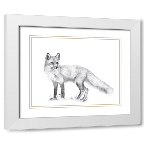 Wildlife Trail I White Modern Wood Framed Art Print with Double Matting by Wang, Melissa