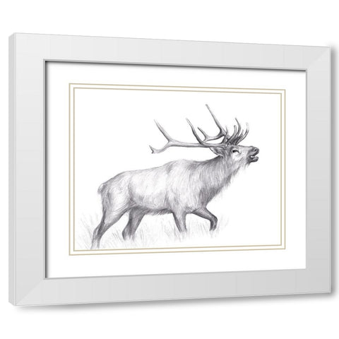 Wildlife Trail II White Modern Wood Framed Art Print with Double Matting by Wang, Melissa