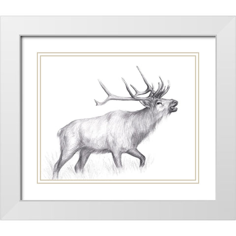 Wildlife Trail II White Modern Wood Framed Art Print with Double Matting by Wang, Melissa