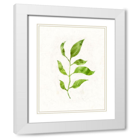 Sapling II White Modern Wood Framed Art Print with Double Matting by Borges, Victoria