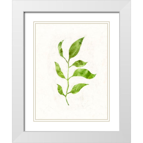 Sapling II White Modern Wood Framed Art Print with Double Matting by Borges, Victoria