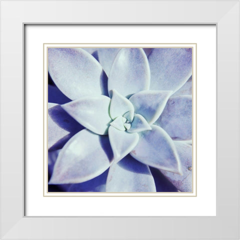 Ultra Violet I White Modern Wood Framed Art Print with Double Matting by Johnson, Jason