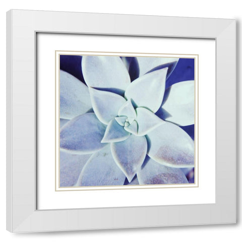Ultra Violet II White Modern Wood Framed Art Print with Double Matting by Johnson, Jason