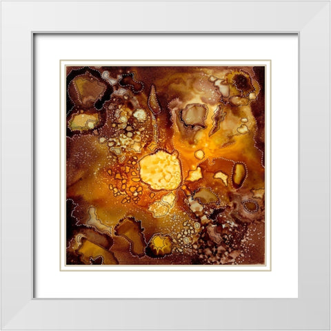 Chestnut Illumination I White Modern Wood Framed Art Print with Double Matting by Moore, Regina