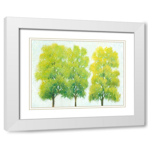 Spring Eternal I White Modern Wood Framed Art Print with Double Matting by OToole, Tim