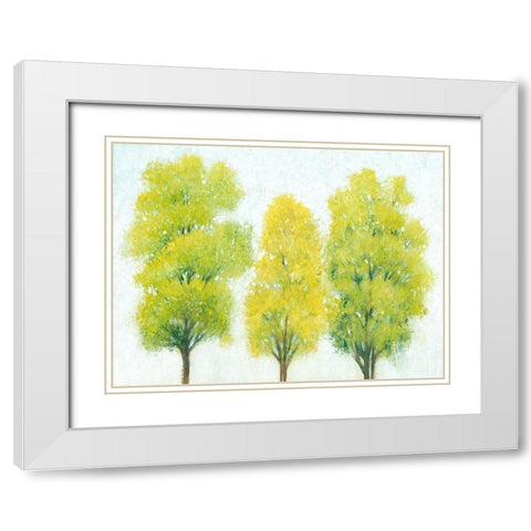 Spring Eternal II White Modern Wood Framed Art Print with Double Matting by OToole, Tim