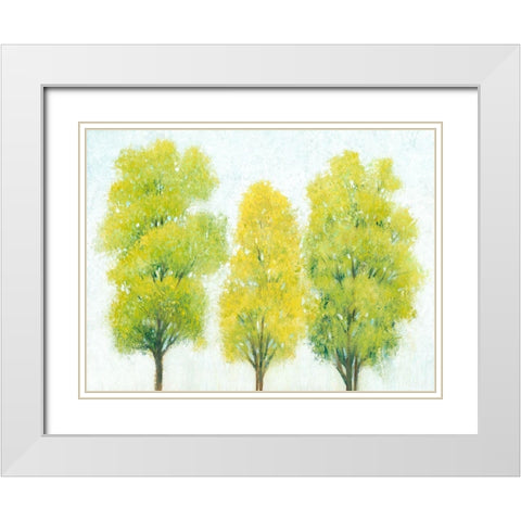 Spring Eternal II White Modern Wood Framed Art Print with Double Matting by OToole, Tim