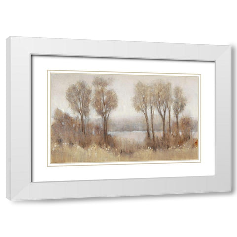 Rainy Afternoon I White Modern Wood Framed Art Print with Double Matting by OToole, Tim