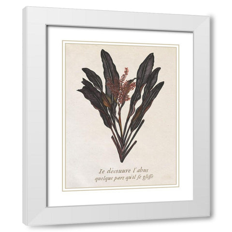 Seaweed Study I White Modern Wood Framed Art Print with Double Matting by Wang, Melissa