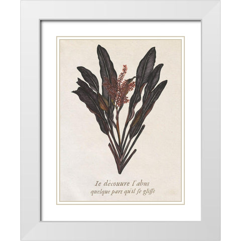 Seaweed Study I White Modern Wood Framed Art Print with Double Matting by Wang, Melissa