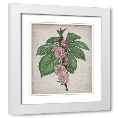 Floral Memory II White Modern Wood Framed Art Print with Double Matting by Wang, Melissa