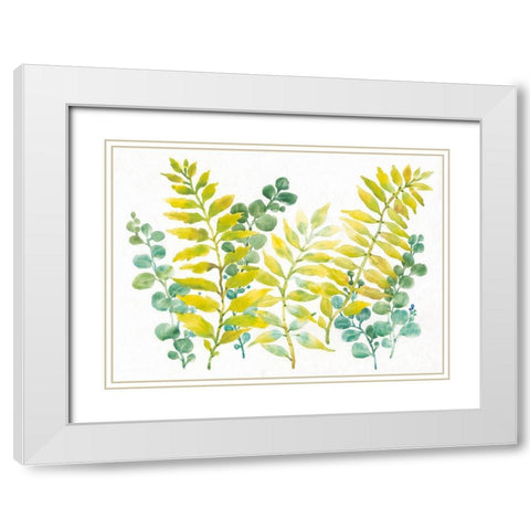 Mixed Greenery II White Modern Wood Framed Art Print with Double Matting by OToole, Tim