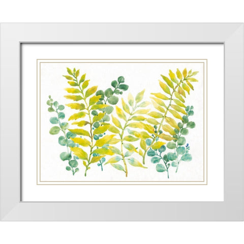 Mixed Greenery II White Modern Wood Framed Art Print with Double Matting by OToole, Tim