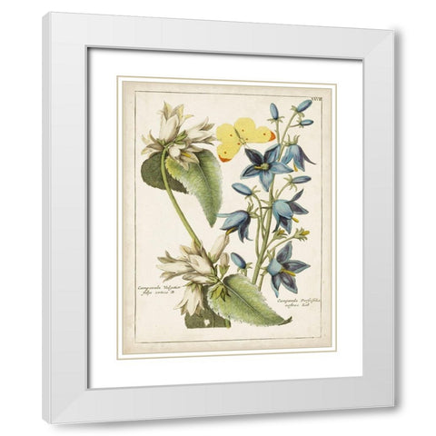 Botanical Bouquet I White Modern Wood Framed Art Print with Double Matting by Unknown