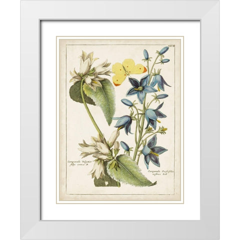 Botanical Bouquet I White Modern Wood Framed Art Print with Double Matting by Unknown