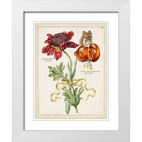 Botanical Bouquet II White Modern Wood Framed Art Print with Double Matting by Unknown