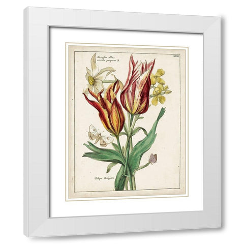 Botanical Bouquet IV White Modern Wood Framed Art Print with Double Matting by Unknown