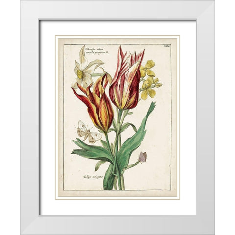 Botanical Bouquet IV White Modern Wood Framed Art Print with Double Matting by Unknown