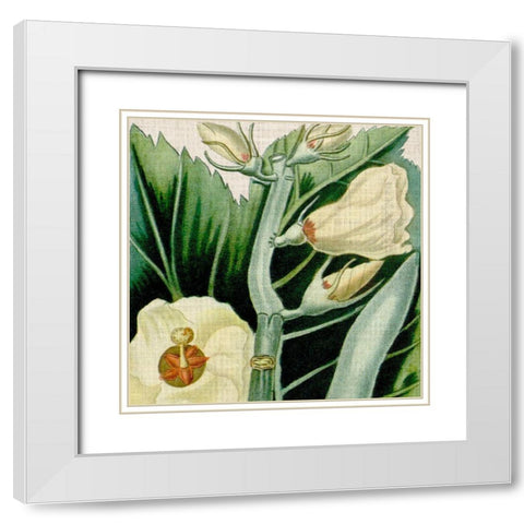Cropped Turpin Tropicals III White Modern Wood Framed Art Print with Double Matting by Vision Studio