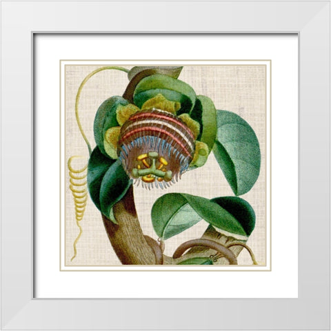 Cropped Turpin Tropicals IV White Modern Wood Framed Art Print with Double Matting by Vision Studio