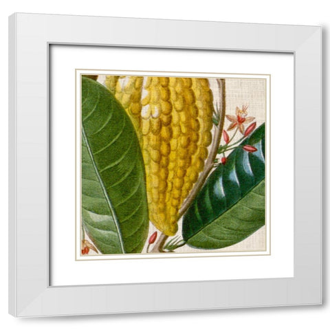 Cropped Turpin Tropicals VI White Modern Wood Framed Art Print with Double Matting by Vision Studio