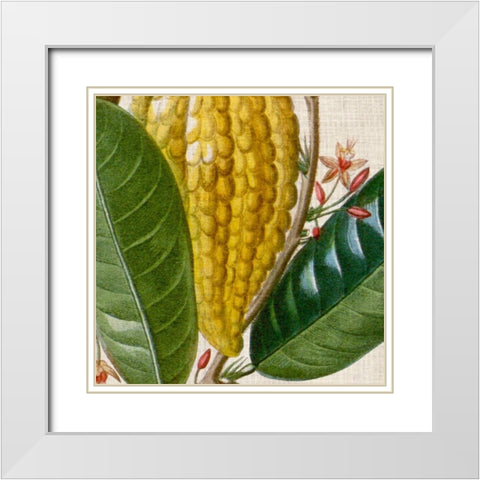 Cropped Turpin Tropicals VI White Modern Wood Framed Art Print with Double Matting by Vision Studio