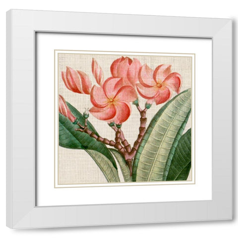 Cropped Turpin Tropicals VII White Modern Wood Framed Art Print with Double Matting by Vision Studio