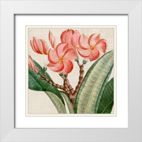 Cropped Turpin Tropicals VII White Modern Wood Framed Art Print with Double Matting by Vision Studio