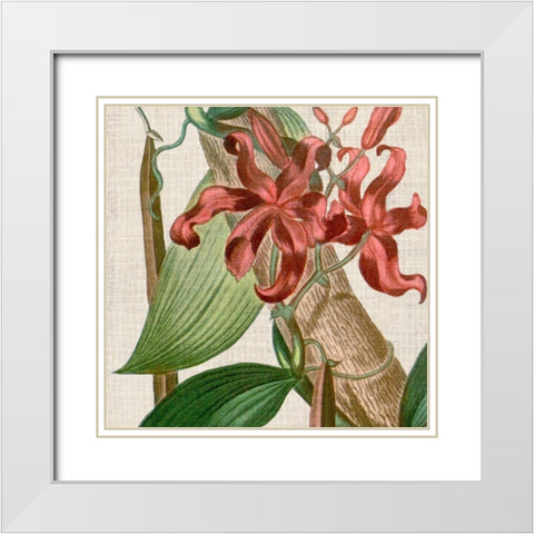 Cropped Turpin Tropicals IX White Modern Wood Framed Art Print with Double Matting by Vision Studio