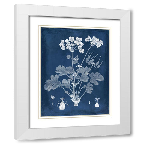 Botanical in Indigo III White Modern Wood Framed Art Print with Double Matting by Vision Studio