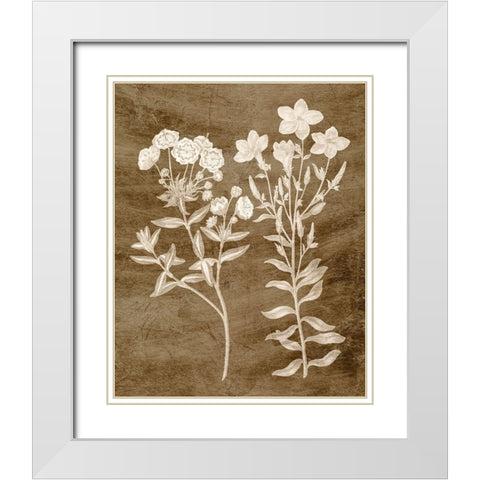 Botanical in Taupe I White Modern Wood Framed Art Print with Double Matting by Vision Studio