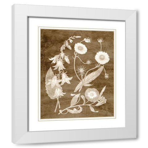 Botanical in Taupe III White Modern Wood Framed Art Print with Double Matting by Vision Studio